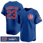 Chicago Cubs #23 Ryne Sandberg Royal 'Ryne Sandberg Tribute' Vapor Limited V3 Stitched Baseball Jersey